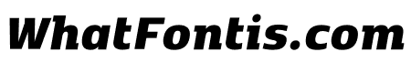 Kobenhavn C Black Italic