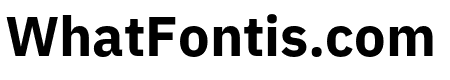 IBM Plex Sans Thai Looped Bold