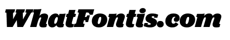 Jubilat Black Italic