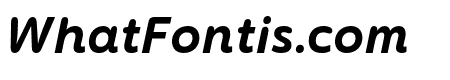 Termtem Bold Italic