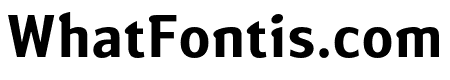 Susan Sans Bold