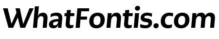 PMNCaeciliaSans Text Hv Italic