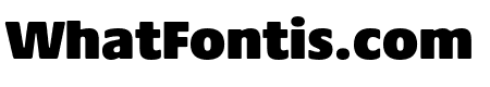Praxis Next Condensed ExtraBlack