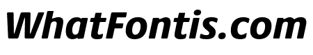 Praxis Next Condensed Heavy Italic