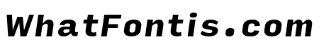 Input Sans Black Italic