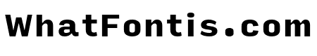 Input Sans Black