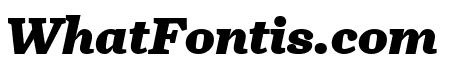 Turnip Black Italic