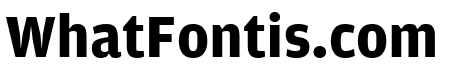Amplitude Bold
