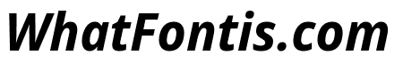 Noto Sans Display ExtraCondensed Bold Italic