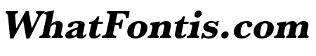 Baskerville URW Wide Extra Bold Oblique