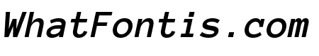 Anonymous Pro 700italic