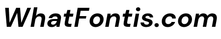 DM Sans 700italic