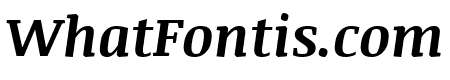 Noticia Text 700italic