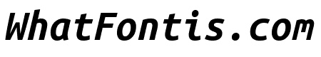 Ubuntu Mono 700italic