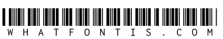 Libre Barcode 39 Text regular