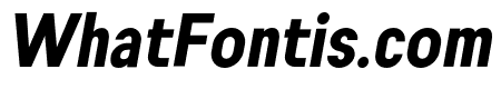 Engula Black Italic