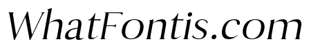 Antique Book Italic