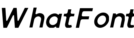 SenticDisplay-MediumItalic