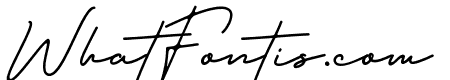 Domino Signature