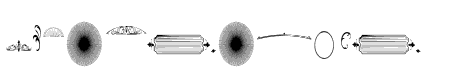 VanguardOrnament