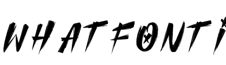 CLUISHER BRUSH