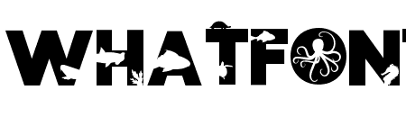 Ocean Silhouette Font Regular