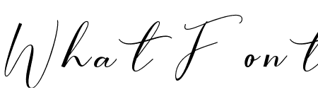SeattleScript