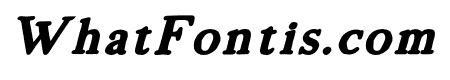 Morgen-BookItalic