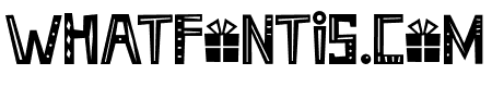 Holiday Season