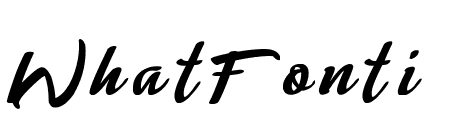 Lady Writer