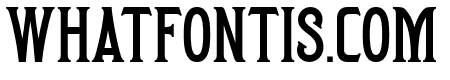 RooseveltSerif02