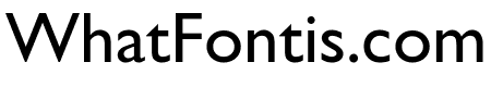 CheGuevara Text Sans
