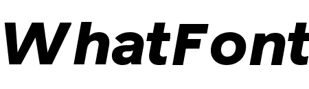 Reader Black Italic Pro