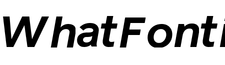 Reader Bold Italic Pro