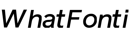 Reader Medium Italic Pro