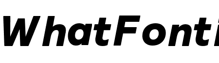 Relative Black Italic Pro