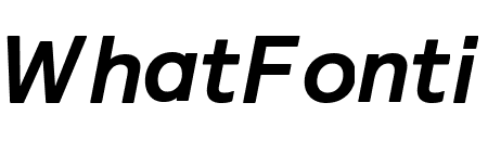 Relative Bold Italic Pro