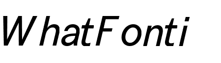 Transcript Italic Pro