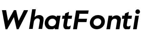 Value Sans Bold Italic Pro