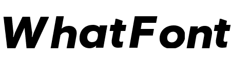 Visuelt Black Italic Pro