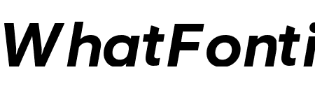 Visuelt Bold Italic Pro
