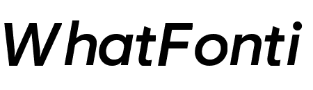 Visuelt Medium Italic Pro