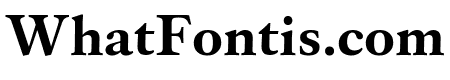 Custodia Bold