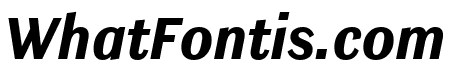 Ludwig Condensed Black Italic