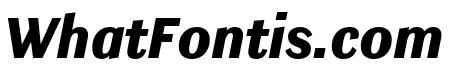 Ludwig Condensed ExtraBlack Italic