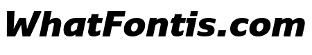 Monitor Black Black Italic