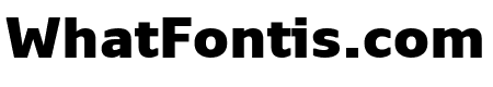 Monitor Black Black