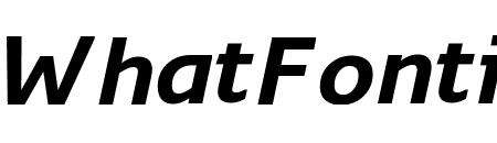 Monitor Bold Italic