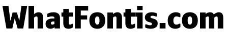 Monitor Condensed Black Black