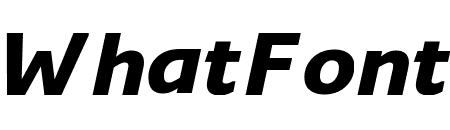 Monitor ExtraBold ExtraBold Italic